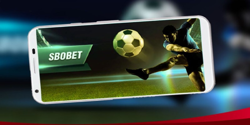 Thông tin và đặc điểm cần biết trên hệ thống SBOBET Kubet